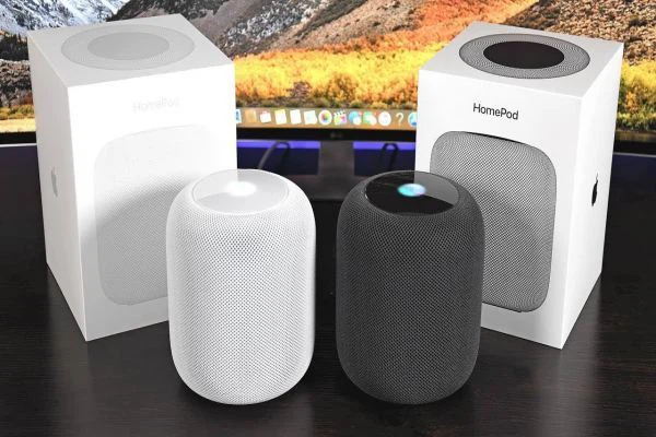 Mức giá 349 USD khiến doanh số HomePod ảm đạm và đánh mất thị phần bởi dòng sản phẩm Echo của Amazon và loa thông minh của Google. Cuối cùng, sản phẩm HomePod của Apple cũng bị thanh lý.