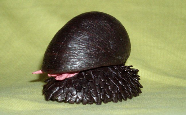 Một trong những khám phá đáng chú ý của các nhà khoa học là họ đã tìm ra manh mối di truyền của “bộ áo giáp” khi so sánh 2 quần thể: 1 ở môi trường giàu chất sắt và một ở môi trường nghèo chất sắt.