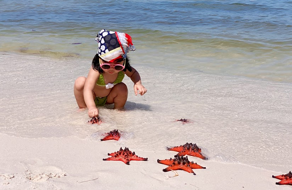 Ngoài hình dáng đặc biệt của mình, sao biển còn nổi tiếng với khả năng tái tạo các phần cơ thể và trong một số trường hợp, chúng có thể tái tạo lại toàn bộ cơ thể.