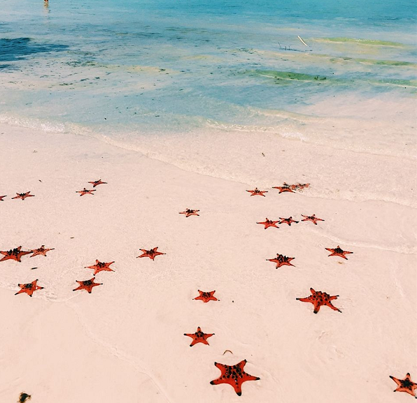 Ngoài tác nhân về nhịp thở, sao biển còn có thể bị stress khi thay đổi môi trường đột ngột, đảo lộn lối sống và khả năng sinh học. Chúng có thể hồi phục nhưng mất rất nhiều thời gian sau đó.