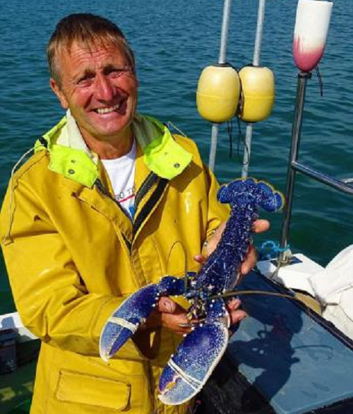 Đáng chú ý, sau khi nghiên cứu về 2 chú tôm hùm này, các nhà khoa học kết luận, 1 trong 2 con bị đột biến di truyền. Điều này đồng nghĩa với việc cha hoặc mẹ của nó cũng có màu xanh tương tự.