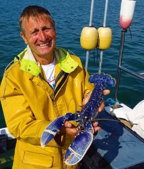 Đáng chú ý, sau khi nghiên cứu về 2 chú tôm hùm này, các nhà khoa học kết luận, 1 trong 2 con bị đột biến di truyền. Điều này đồng nghĩa với việc cha hoặc mẹ của nó cũng có màu xanh tương tự.