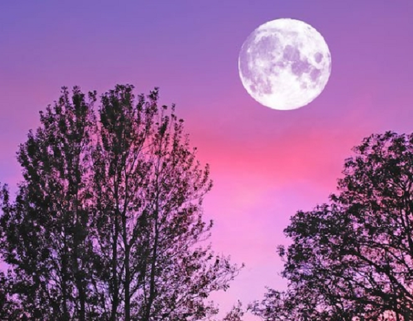 Để có được tầm nhìn tốt nhất, bạn nên tìm một khu vực rộng, thoáng, và ngắm trăng khi nó mọc ngay phía trên đường chân trời. Các chuyên gia cho đây là thời điểm mặt trăng sẽ lớn nhất.