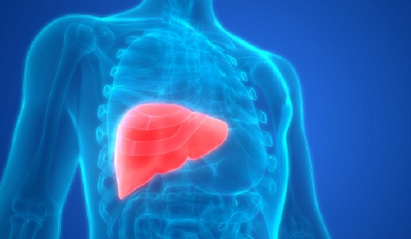 Tuy nhiên, quá trình phân hóa tế bào sẽ loại bỏ nhiều thành tố quan trọng của ma trận ngoại bào, ví dụ như những phân tử phát tín hiệu phân bào và hình thành mạch máu. Điều này khiến tế bào được ghép không phát triển được trong môi trường mới, làm gián đoạn quá trình tái cấu trúc tế bào.