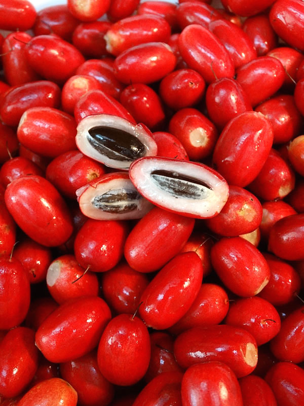 Kinh nghiệm cho thấy, muốn có tác dụng “tạo ngọt” nên nhai kỹ và ngậm khoảng 1 – 2 phút để dịch trái thần kỳ tiếp xúc toàn bộ với lưỡi. Tuyệt đối không dùng đồ nóng sau đó, vì sẽ làm tác dụng kỳ diệu mất đi nhanh chóng.