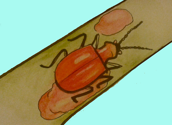 Hữu dụng là vậy, nhưng do sản lượng khai thác cực kỳ thấp, đã khiến sơn cánh kiến có giá trị cao. Thời phong kiến, nó được sử dụng như cống phẩm thượng hạng giữa quốc gia trong khu vực và được các nhà buôn phương Tây săn lùng.