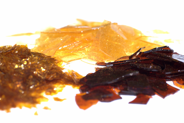 Bên cạnh đó, cánh kiến đỏ là một vị thuốc tương đối ít dùng trong nhân dân. Theo Y học cổ truyền, dược liệu này có vị đắng, tính lạnh, tác dụng thanh nhiệt, lương huyết, giải độc, cầm máu. Ngày dùng 4 – 6g.