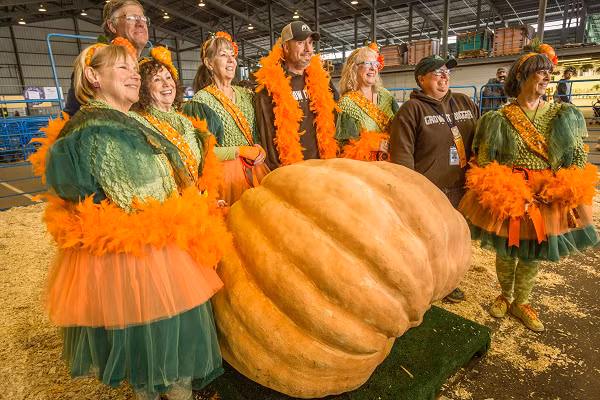 Từ đó, cư dân trong khu vực tăng đáng kể, thung lũng Matanuska trở thành khu vực sản xuất nông nghiệp chính ở Alaska. Mời các bạn xem video: Khung cảnh thiên nhiên tuyệt đẹp ở những quốc gia ít dân.