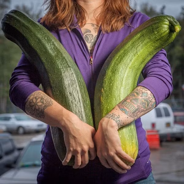 "Một số loại rau củ quả phát triển khổng lồ đến mức, bạn thậm chí không thể nhận ra chúng là gì", giám đốc cây trồng của hội chợ, Kathy Liska cho biết.