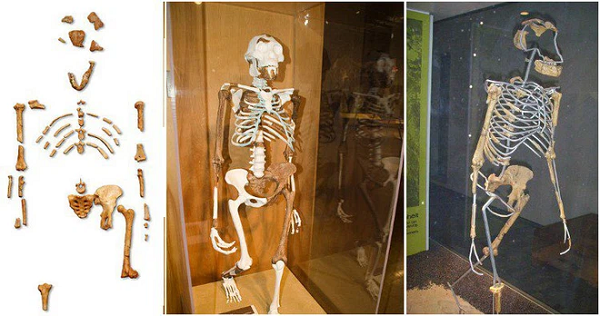 Ethiopia là một trong những quốc gia được nhắc đến nhiều nhất khi nói đến thế giới cổ sinh vật học. Một khám phá quan trọng khác được thực hiện bởi Tim D. White, một nhà cổ sinh vật học. khi ông phát hiện ra một hóa thạch loài hominid 4,2 triệu năm tuổi.