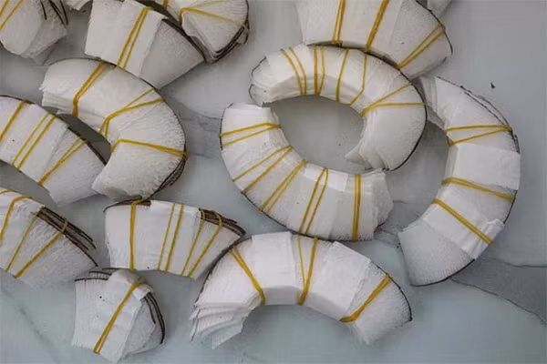 Khi dừa coco de mer rơi xuống, chúng quá nặng nên bị chìm sâu dưới đáy biển một thời gian. Tới lúc phần xơ dừa mục ruỗng và rời ra, phần cùi và nước bên trong bị lên men, tạo ra khí giúp gáo dừa nổi lên khiến người ta nghĩ rằng cây của chúng mọc dưới nước. Nhờ đó chúng có tên coco de mer, nghĩa là dừa biển.