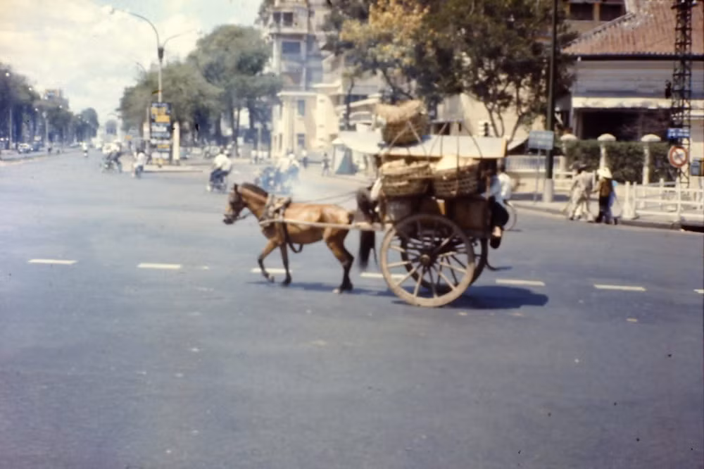 Xe ngựa thồ hàng trên đường phố Sài Gòn.