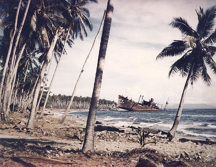 Tổng kết chiến dịch, phía Đồng minh và Mỹ có 7100 lính thiệt mạng, khoảng 8000 lính bị thương, mất 29 tàu chiến trong đó có một tàu sân bay cùng với 615 máy bay. Phía Nhạt có thiệt hại về người lớn khủng khiếp, lên tới 19.200 người cùng với 38 tàu chiến bị đánh đắm cùng với 683 chiến đấu cơ bị tiêu diệt. Nguồn ảnh: Warhistory.