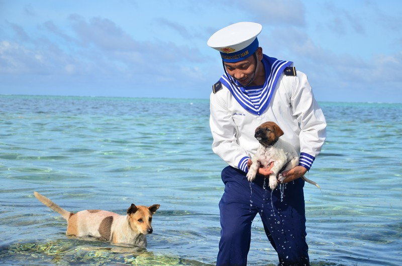 Chó ở đảo Trường Sa thường được các chiến sĩ, bộ đội đặt cho những tên gọi rất thú vị. Nguồn ảnh: Flickr.