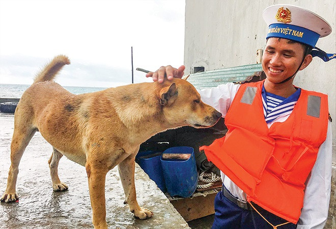 Theo Báo Thái Bình, do thường xuyên gần gũi và được các chiến sĩ đảo chăm sóc, huấn luyện nên nhiều chú chó cũng tinh nghịch như chàng lính trẻ, nhảy xuống biển bơi và còn biết giúp bộ đội lùa bắt cá ở vùng biển cạn - nơi những bãi san hô ngầm, khi thủy triều xuống nước chỉ quá mắt cá chân. Nguồn ảnh: Tiền Phong.