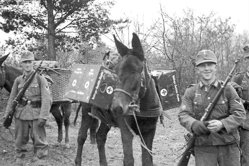 Phương tiện di chuyển của lực lượng quân y Đức thường là xe tải hoặc lừa, ngựa. Các đơn vị quân y được bảo vệ rất nghiêm ngặt, luôn được di tản ngay lập tức khi bị tấn công. Nguồn ảnh: Thearchive.