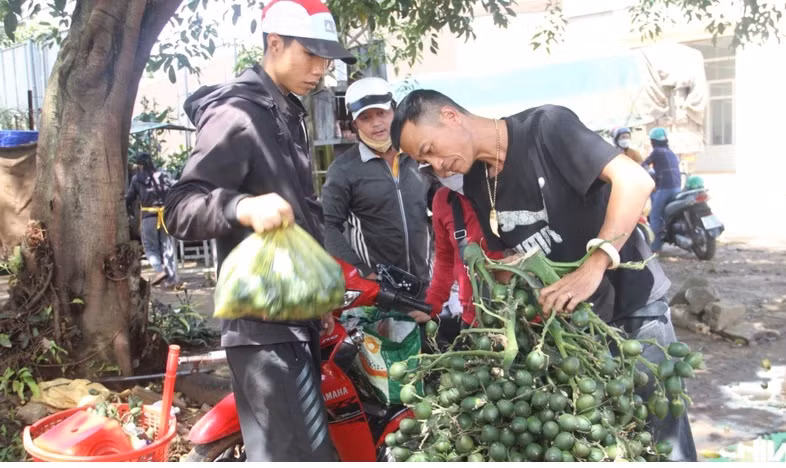 Nong dan trung tien ty, vua cay cau giong chay hang-Hinh-3