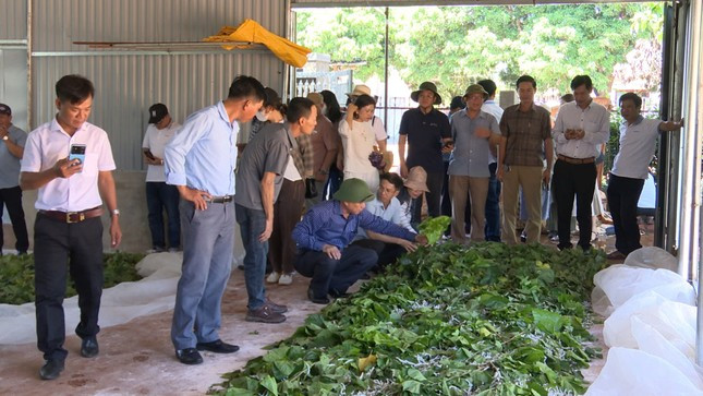 Thu nhập cao nhờ nghề 'ăn cơm đứng' - Hình 2 Thu nhap cao nho nghe 'an com dung'-Hinh-2