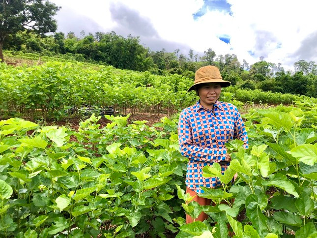 Thu nhập cao nhờ nghề 'ăn cơm đứng' Thu nhap cao nho nghe 'an com dung'
