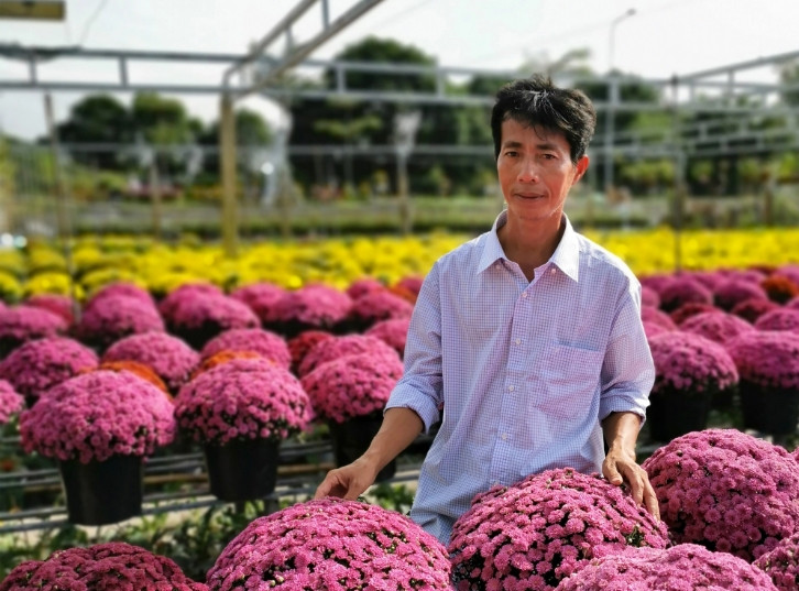 Để tăng thêm nét mới cho Festival, ông Đặng Quang Giàu (Tổ trưởng Tổ sản xuất hoa kiểng khóm Tân An, phường An Hòa, TP Sa Đéc) đã nhân rộng 10.000 chậu cúc mâm xôi ngũ sắc có nguồn gốc Hàn Quốc, Hà Lan, với nhiều màu sắc rực rỡ, như: đỏ, vàng, tím, hồng.