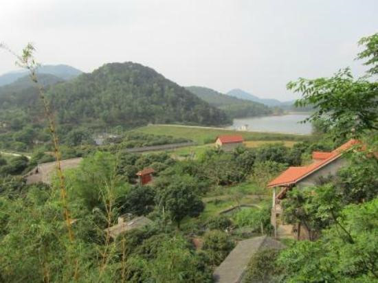 Mang quoc te noi gi Viet Phu Thanh Chuong dang gay on ao?-Hinh-3