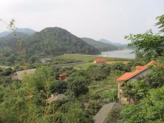 Mang quoc te noi gi Viet Phu Thanh Chuong dang gay on ao?-Hinh-3