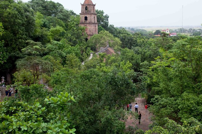 Mang quoc te noi gi Viet Phu Thanh Chuong dang gay on ao?