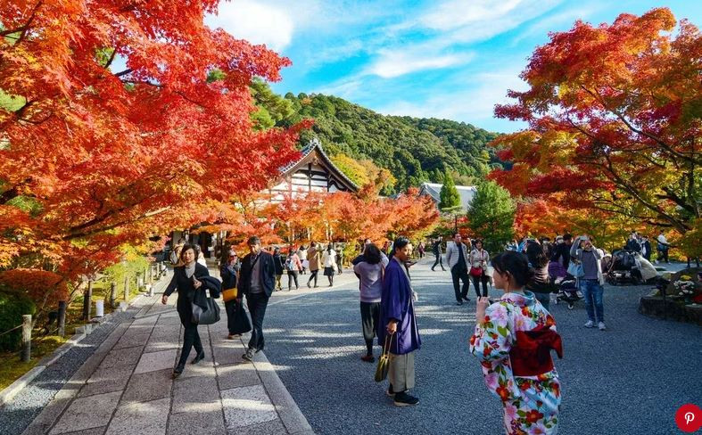  Kyoto, Nhật Bản: Với sự kết hợp hoàn hảo giữa cổ điển và hiện đại, những con phố mua sắm nhộn nhịp và hình ảnh các geisha yêu kiều, Kyoto đã được bình chọn là thành phố tuyệt nhất thế giới. Kyoto được biết đến như thành phố du lịch và từng là cố đô của Nhật Bản. Trước đây, Kyoto được gọi với nhiều cái tên như Heiankyo, Saikyo, Meaco hay Miako. Một số thông tin về Kyoto các bạn cần nắm được về thành phố này: Diện tích: 827,90 km². Dân số: khoảng 1,5 triệu dân.