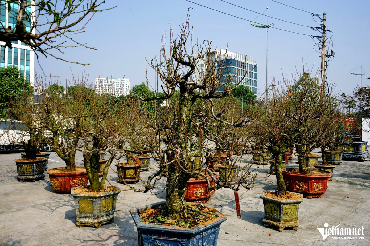 Nhon nhip sac hoa, tieu thuong cho dao quat xuong pho som-Hinh-3