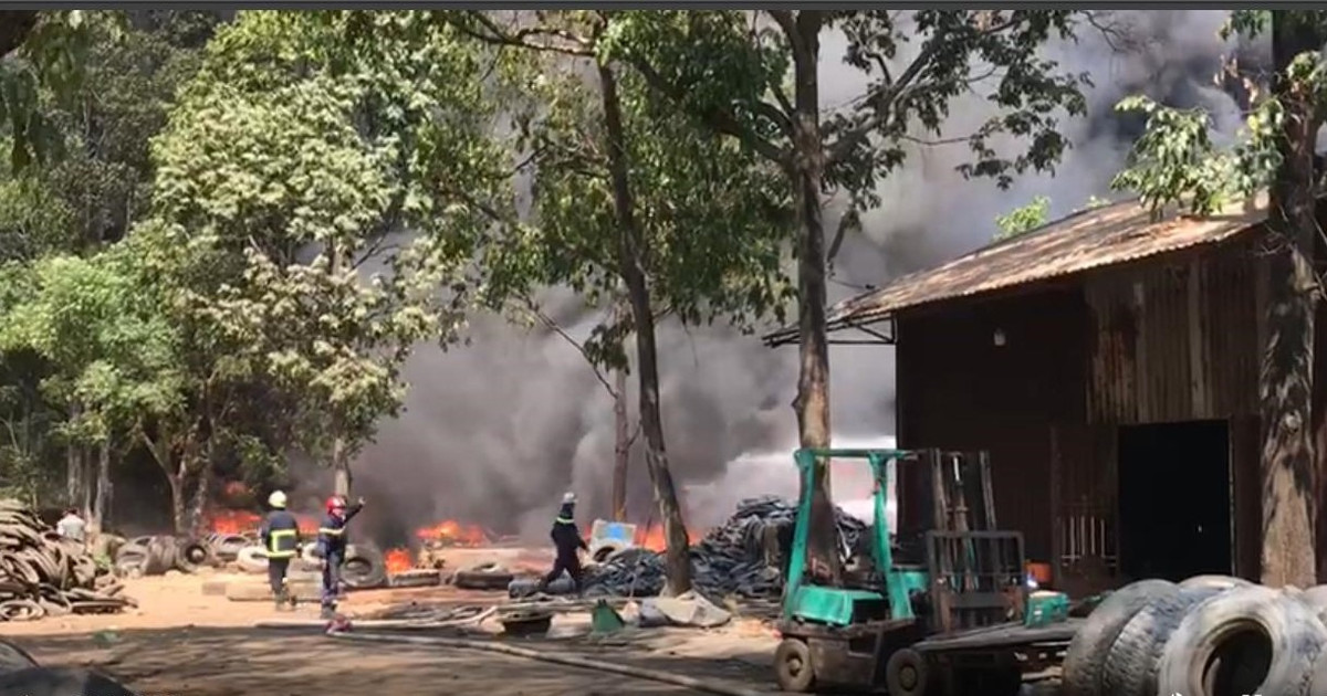 Bên trong bãi chứa lốp ôtô. Ảnh: Đình Trọng