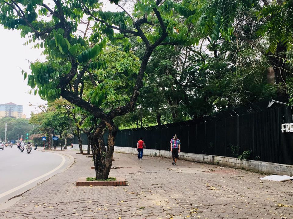 Tại các tuyến phố vắng bóng người qua lại. 