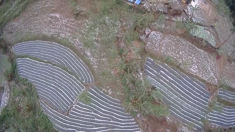 Mưa đá hạt to gây ảnh hưởng thiệt hại lớn cho người dân trên địa bàn xã Dào San.