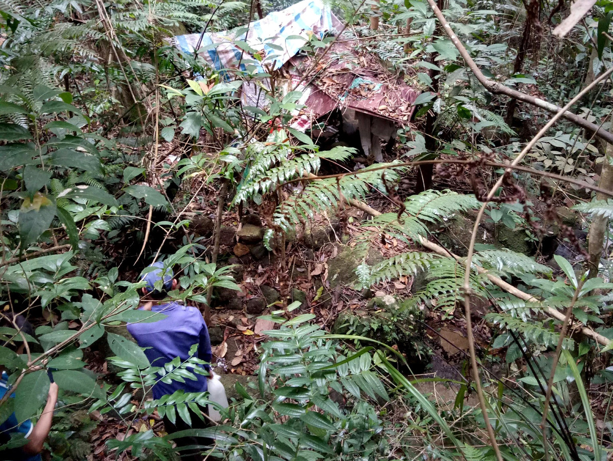 Người nhà sốt ruột đi dọc con đường đất để kiếm tìm, nhưng cũng chẳng thấy. Gia đình chị E đã cùng những người hàng xóm tìm kiếm trên núi Cuông. Khi đoàn người đi tới một con dốc, cách chiếc lán thường dùng cho người dân nghỉ trưa một đoạn thì phát hiện ra thi thể chị E. nằm khuất sau những tán cây rừng. (Ảnh minh họa, nguồn Internet)