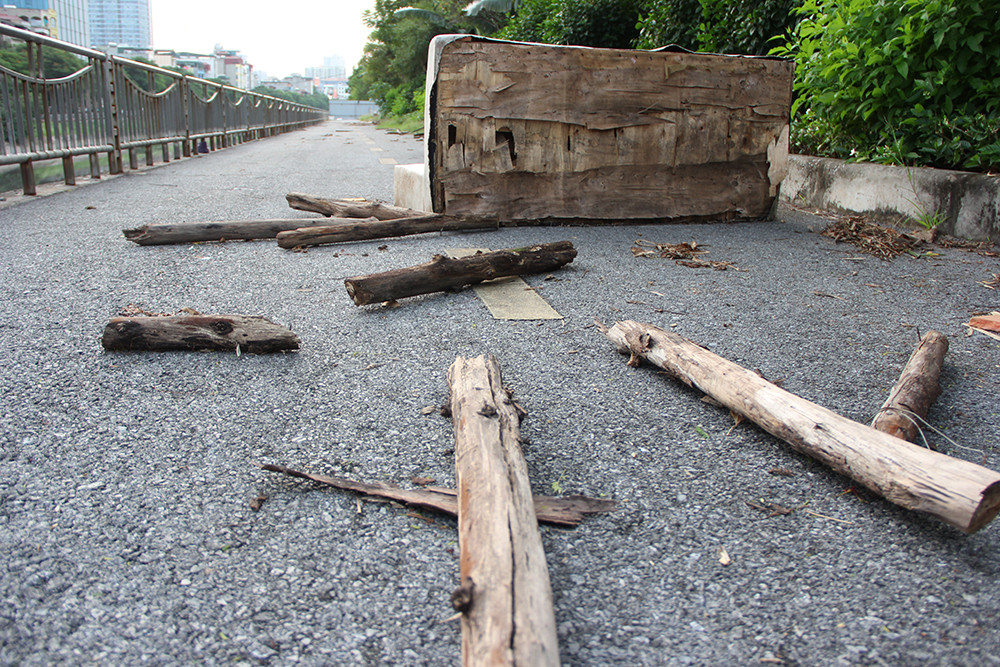 Cả những cây gỗ to nhỏ bị vứt bừa bãi trên đường...