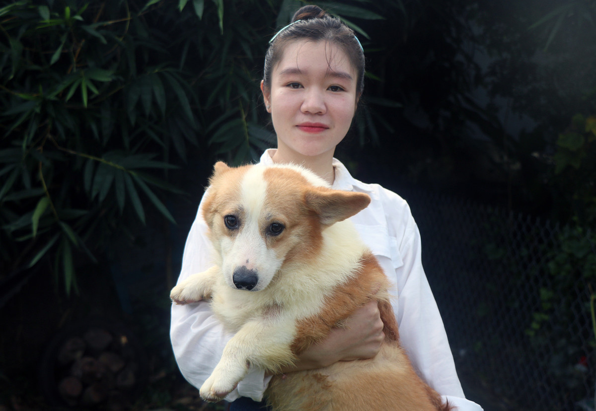 Nuôi chó trong vườn cây ăn trái đạt doanh thu 1 tỷ đồng/năm Nuoi cho trong vuon cay an trai dat doanh thu 1 ty dong/nam