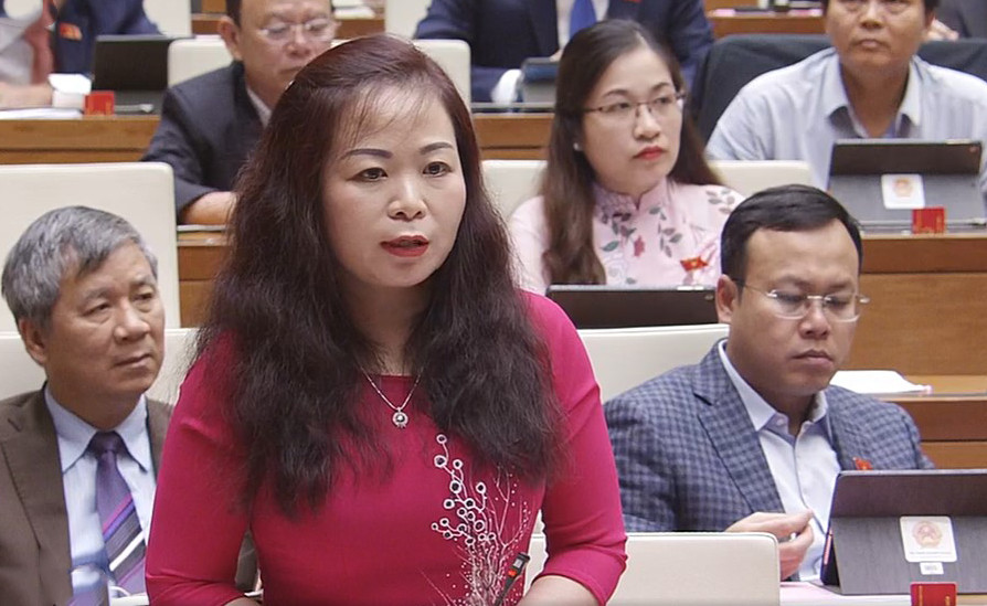 DBQH Pham Thi Minh Hien: “Su co xa hoi hoa sach giao khoa la bai hoc cay dang“-Hinh-3