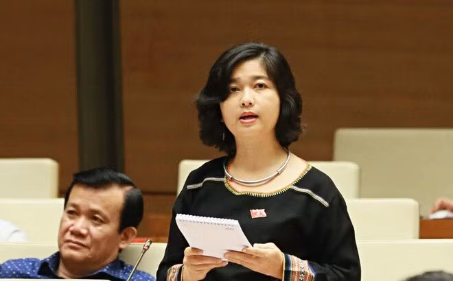 Vi sao dai bieu Ksor H'bo Khap khong ung cu Quoc hoi XV?