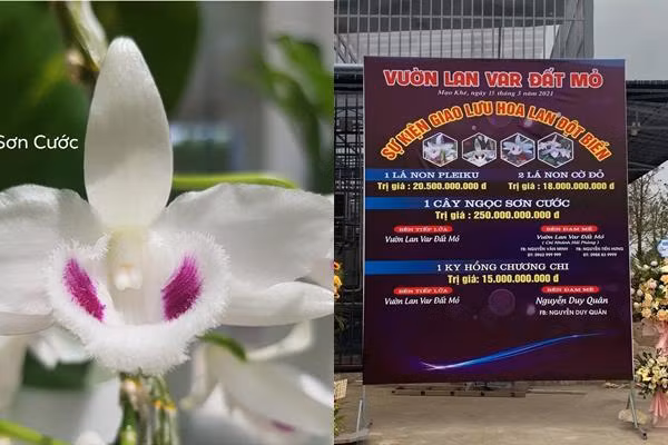 Lan dot bien gia 250 ty dong: De nghi cong an vao cuoc