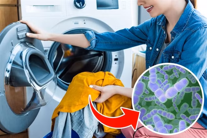 Khi bạn cho đồ ngủ vào máy giặt, vi khuẩn trong đó có thể truyền sang tất cả các đồ vải khác trong máy. Nếu bạn mặc quần áo ngủ trong 2 tuần liên tiếp, việc giặt giũ sẽ không thể loại bỏ hầu hết các vi khuẩn và chúng sẽ lây cho những bộ đồ sạch hơn.