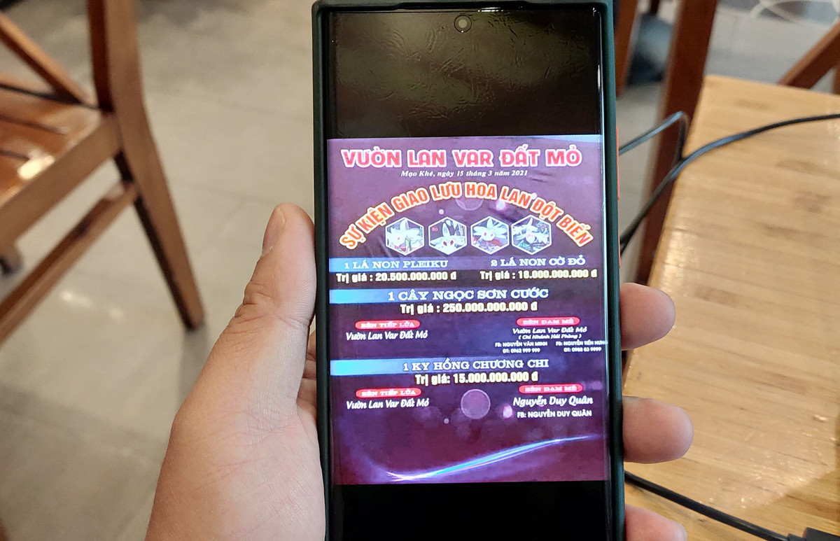 Lan dot bien 250 ty o Quang Ninh: Chua chuyen tien hay chieu… thoi gia?