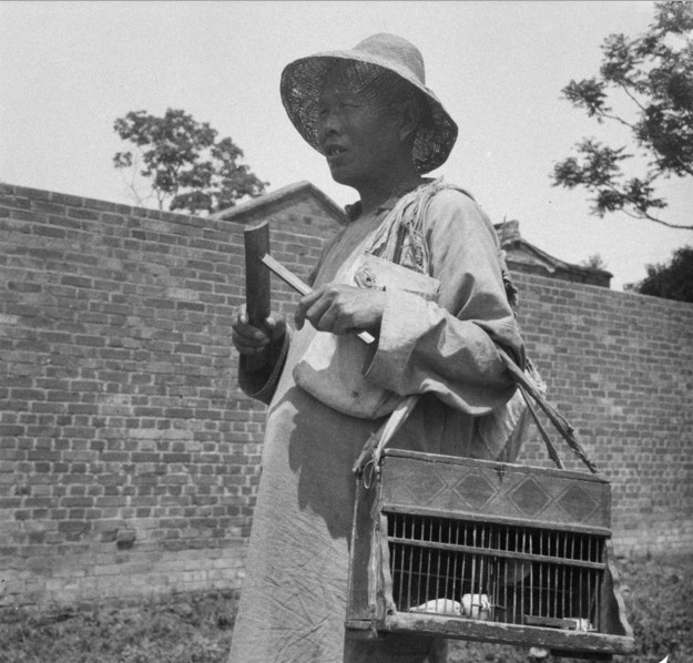 Thuật sĩ giang hồ đang đi rong kiếm khách xem bói.