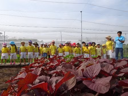 Chang trai bo viec ngan hang luong cao ve trong rau lai 100 trieu/thang-Hinh-5