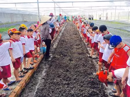 Chang trai bo viec ngan hang luong cao ve trong rau lai 100 trieu/thang-Hinh-4