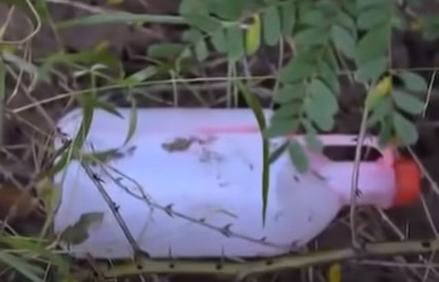 Quá trình xác minh nguồn đốt thi thể nạn nhân để phi tang cho thấy, tại hiện trường, cảnh sát thu được một can nhựa 2 lít màu trắng, bên trong còn sót lượng xăng, khớp với mẫu xăng còn sót lại trên tử thi nạn nhân. Tiến hành xác minh những người mua xăng lẻ vào thời điểm nạn nhân tử vong và được người dân cung cấp về việc ngày 12/12/2016, có một người dáng vẻ gầy ốm, độ tuổi ngoài 20 đến mua can nhựa đựng xăng với giá 30.000 đồng. (Ảnh: ANTV)