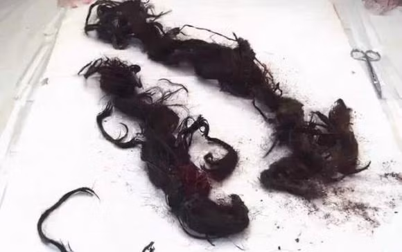 Truoc khi qua doi, Tu Hi Thai hau da lam mot viec cuc ky xau xa-Hinh-5