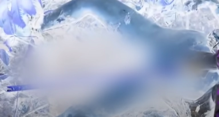 Lãnh đạo Công an huyện Cam Lâm đã phân công một tổ công tác điều tra hình sự xuống hiện trường cùng với địa phương bảo vệ hiện trường, thu thập thông tin ban đầu. Xác định đây là một vụ án giết người, đốt xác, công an huyện đã báo cáo về Ban Giám đốc Công an tỉnh Khánh Hòa. (Ảnh: ANTV)