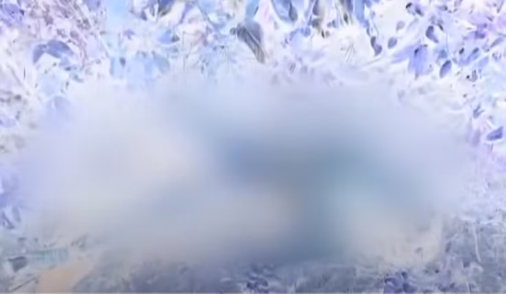 Nạn nhân sau đó được xác định là bà Lê Thị Thanh (SN 1961, trú tại thôn Phú Bình 2, xã Cam Tân).