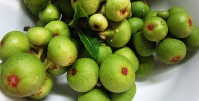 An ngay nhung thuc pham nay hang ngay de giup xuong chac khoe-Hinh-4