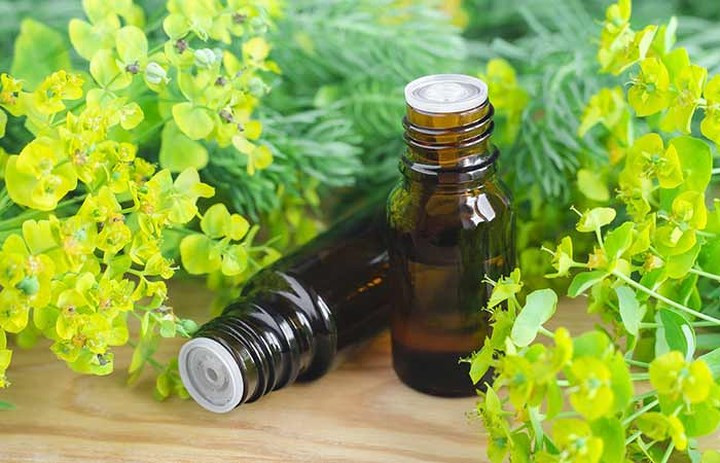 Tinh dầu bách diệp: Dầu cây bách diệp được sử dụng rộng rãi để điều trị viêm. Massage thường xuyên với loại dầu này giúp sửa chữa các dây thần kinh bị tổn thương và phục hồi chức năng của chúng, nhờ đó làm giảm cảm giác ngứa ran dưới da.