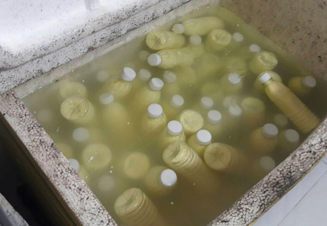 Hàng trăm chai sữa bắp không nhãn mác được ngâm trong thùng xốp bẩn